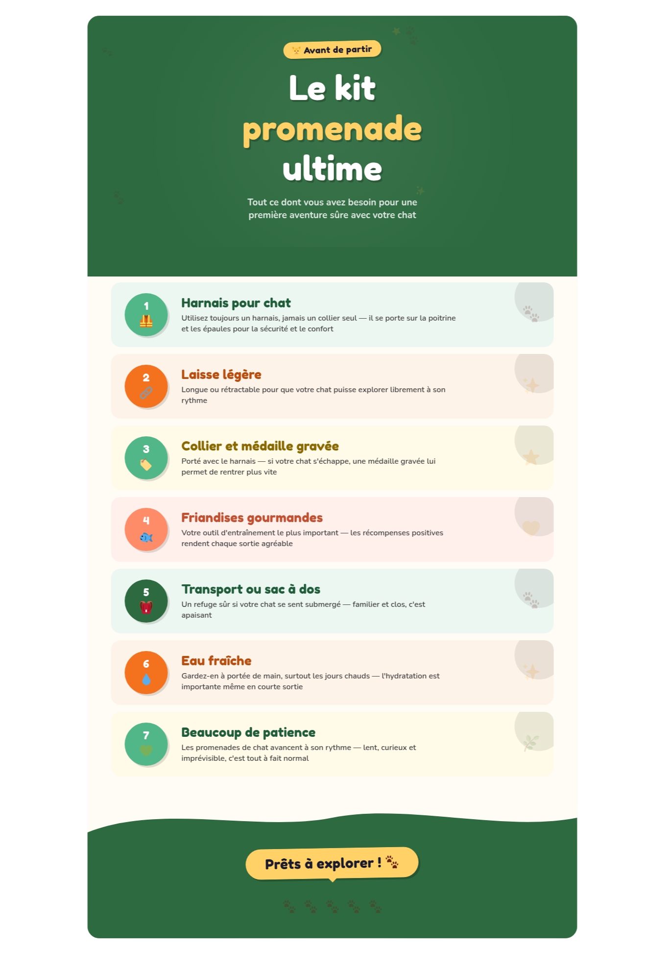 Infographie listant l'équipement essentiel pour promener son chat : harnais, laisse, collier avec médaille, friandises, transport, eau et patience